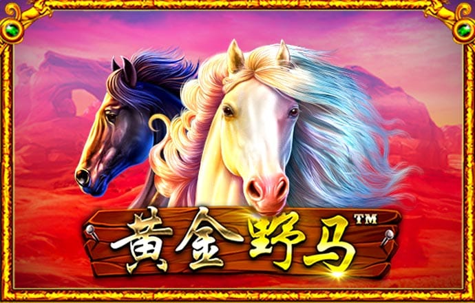 天天娱乐登录大厅
